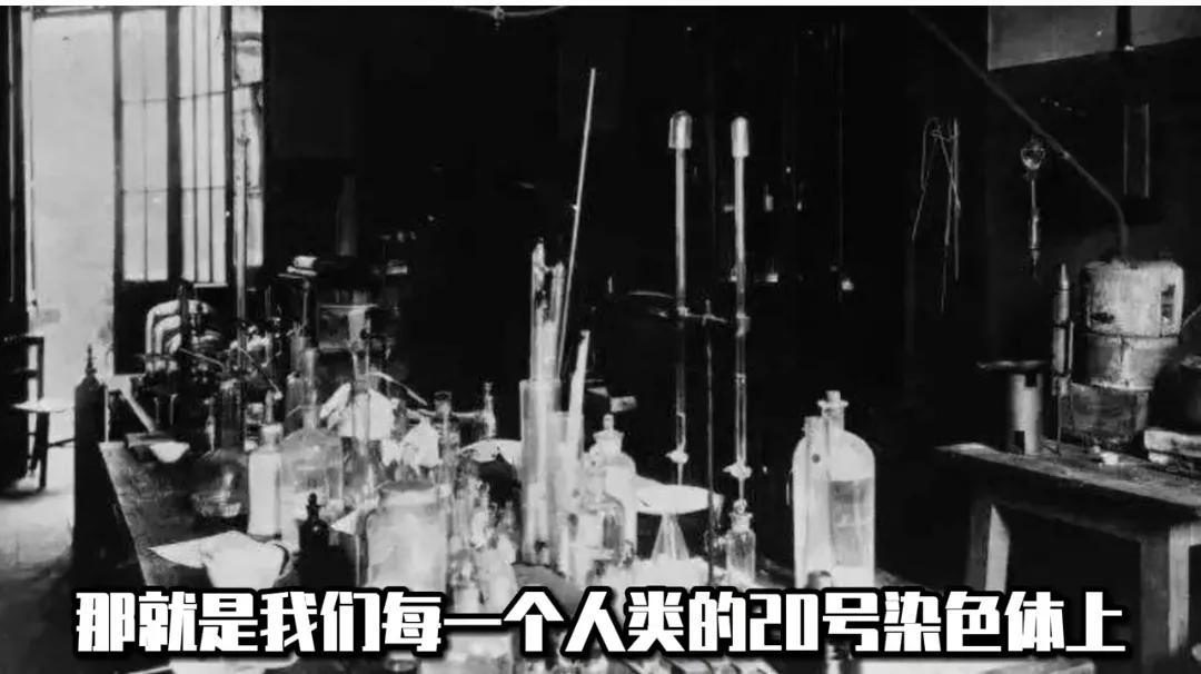 朊病毒是怎么产生的（朊病毒诞生背后的恐怖真相） 第7张