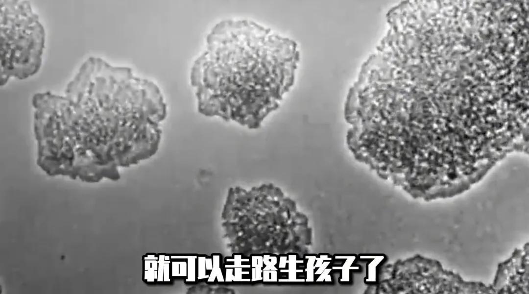 朊病毒是怎么产生的（朊病毒诞生背后的恐怖真相） 第11张