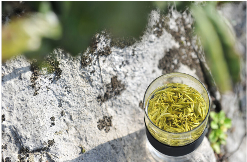 名茶排名前十的茶（中国正宗十大名茶简介） 第15张
