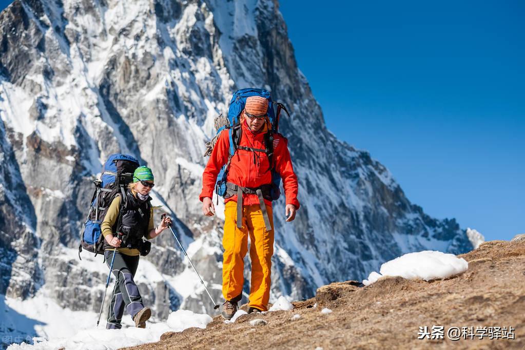 可可西里无人区在哪里？位于西藏羌塘与青海玉树交界处 第21张