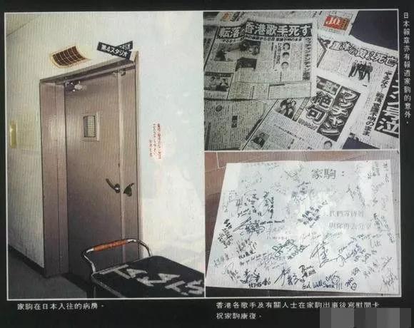 黄家驹死亡真相（解析：黄家驹意外跌落去世全过程） 第9张