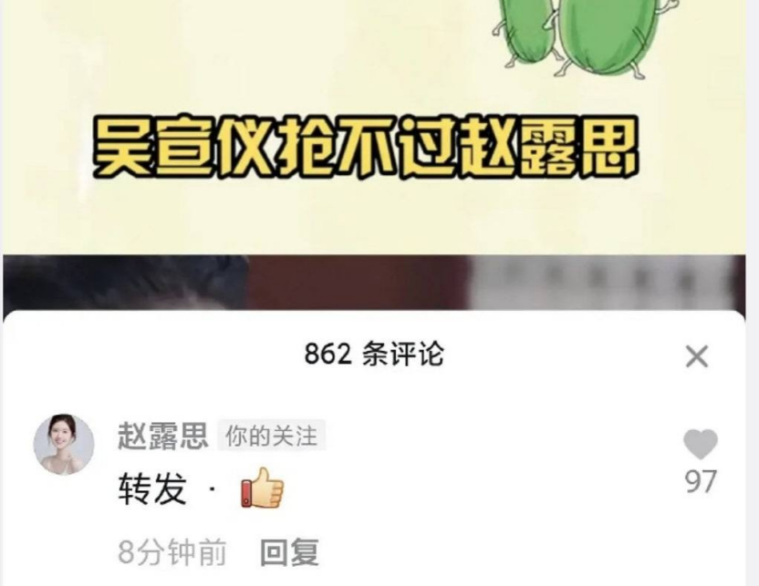 赵露思个人资料（一夜成名，却因手滑变“茶艺师”） 第47张