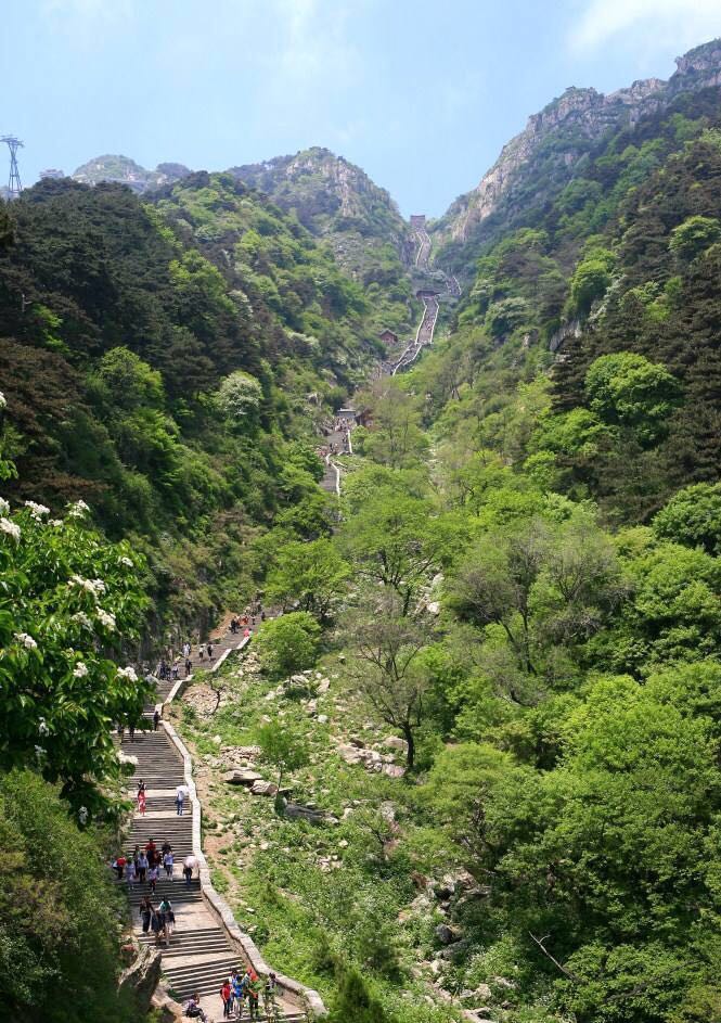 会当凌绝顶一览众山小写的是哪座山？杜甫这首诗里说的是泰山 第7张