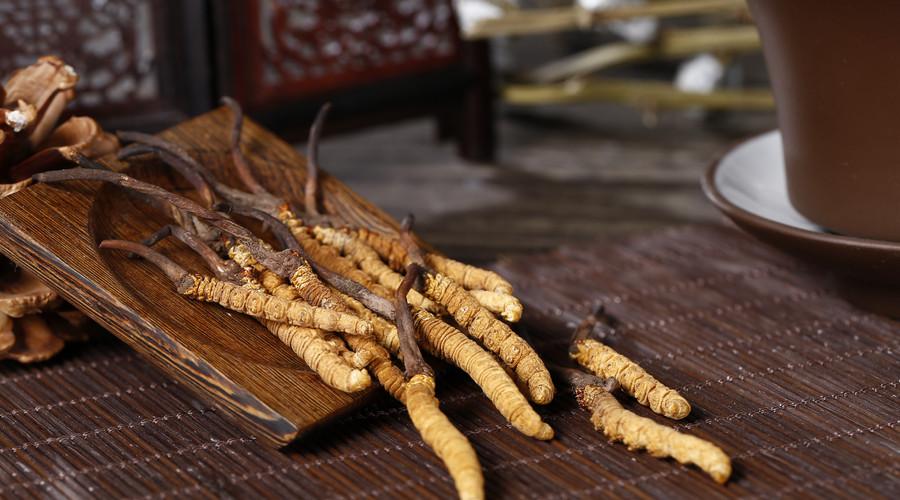 为什么虫草那么贵？这篇文章告诉你真相 第3张