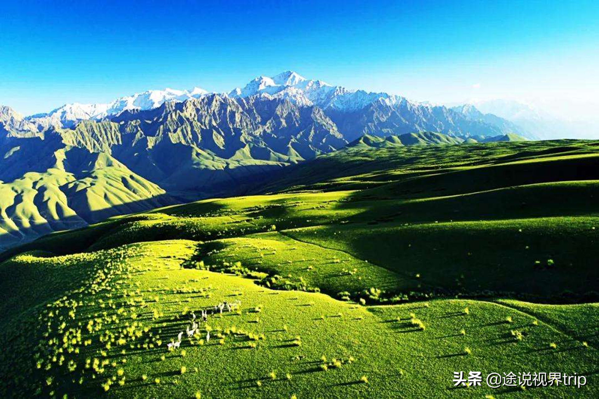 中国十大城市面积最大（国内面积最大的十个州市排名） 第3张