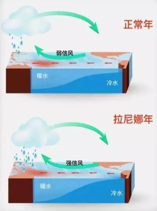 拉尼娜现象和厄尔尼诺现象的区别（兄妹现象简介） 第7张