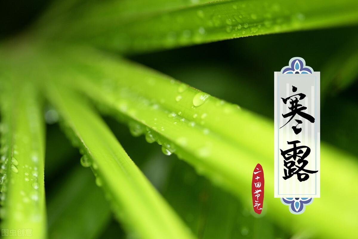 蚕豆什么时候种最合适（种越冬蚕豆的五句农谚） 第1张