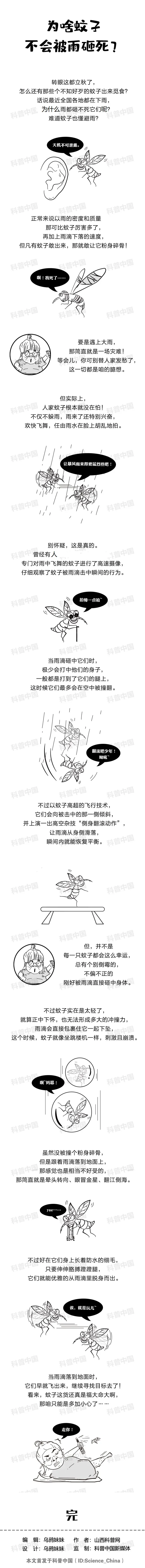 为什么蚊子不会被雨滴砸死？多年的疑问总算解开了 第5张