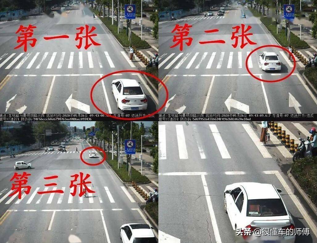 闯红灯几天可以查到违章信息？最迟不超过13个工作日 第3张