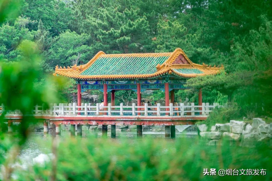 蓬莱水城攻略（到蓬莱，这么玩地道又有趣） 第41张