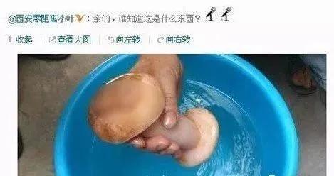女记者太岁事件什么梗？（起底女记者太岁梗详情） 第69张