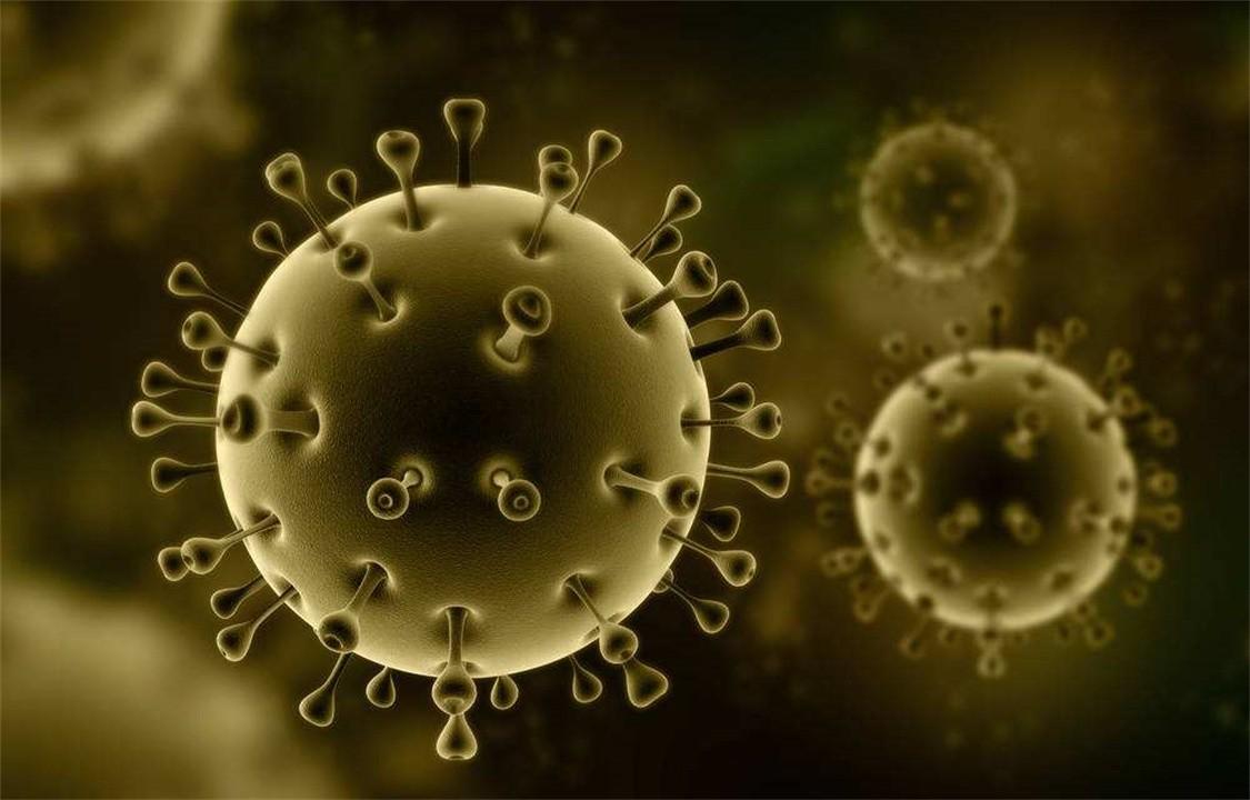 疫情什么时候开始的？为何新冠却持续这么久？ 第5张