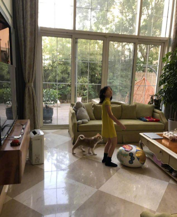 李亚鹏出什么事了？被曝欠债四千万成老赖 第9张