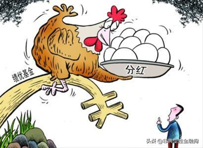 基金怎么玩新手入门？一看就懂的基金入门必看基础知识 第9张