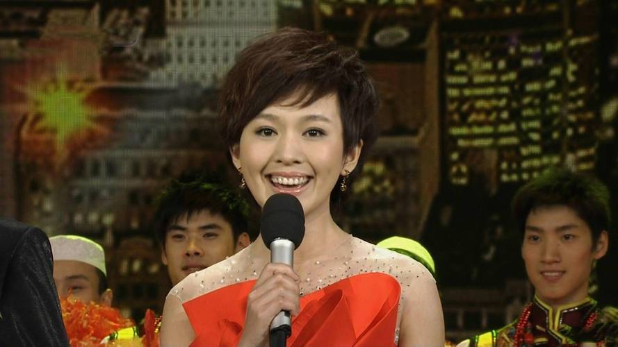 欧阳夏丹今何在？工作17年零失误，离开央视后现状如何 第13张