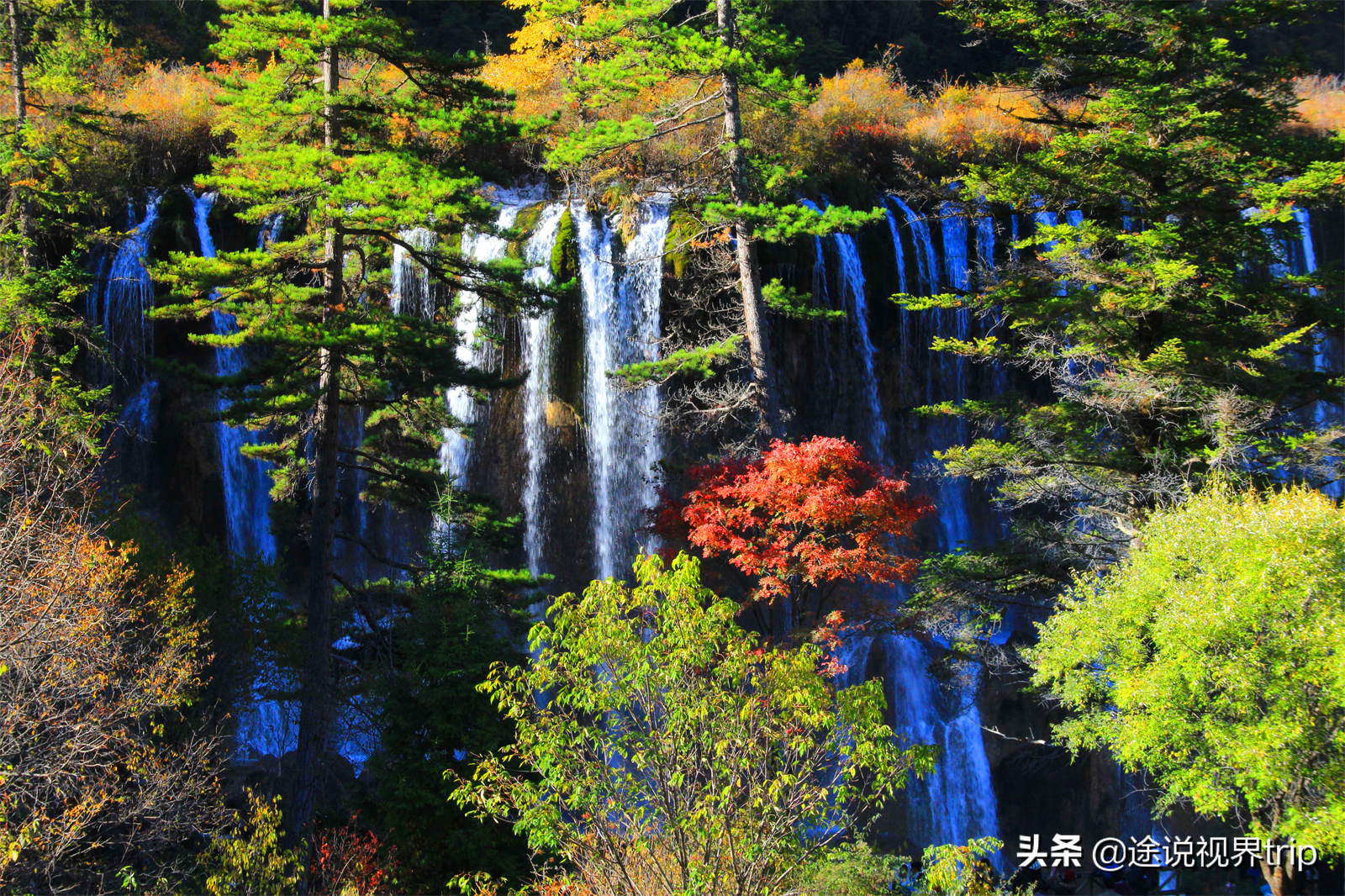 世间最美的九寨沟，无比震撼的人间仙境，来了就不想离开的地方 第21张