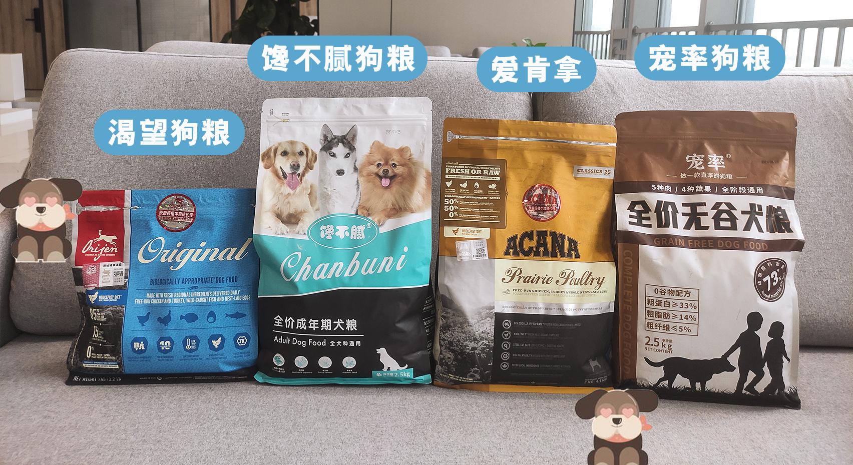 萨摩耶多少钱一只幼犬？普通品相一般是在1K-3K左右 第19张