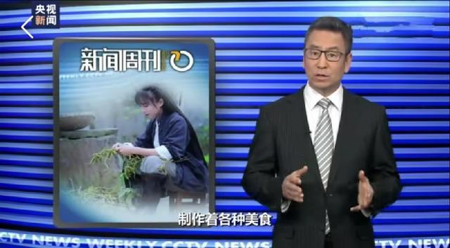 白岩松为什么被央视解雇了？假的，网传谣言而已 第17张