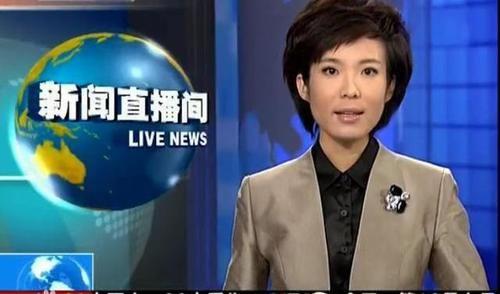 宝晓峰个人简历（晓峰43岁仍单身：不想过早嫁人） 第5张