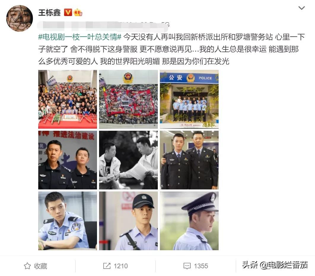 王栎鑫为什么离的婚？深扒四个细节早有预示 第41张