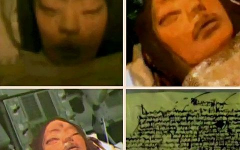月球上嫦娥的死尸图片（曾是地球难民？这其实是谣言）