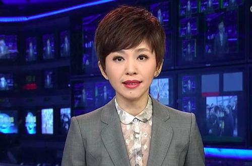 欧阳夏丹今何在？工作17年零失误，离开央视后现状如何 第27张