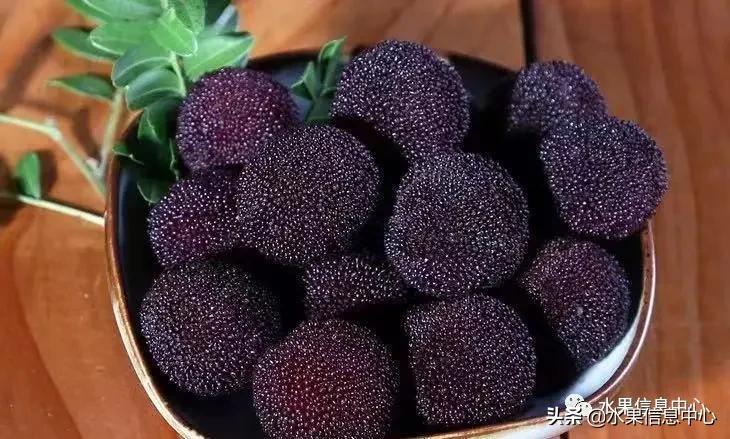 杨梅几月份成熟，我国的杨梅到底哪里最好吃？ 第23张