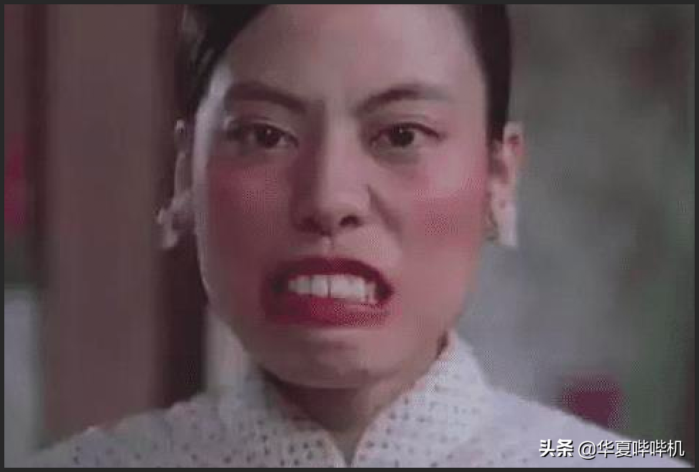 陈凯师个人资料简介（扮丑17年，告别星爷自断前程） 第9张
