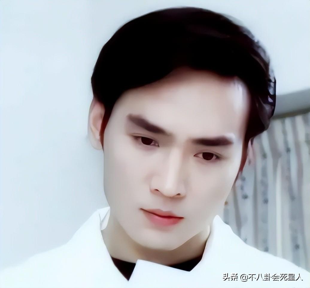 中国最帅的男明星（这8位男星的长相，人人见了都夸赞帅气） 第31张