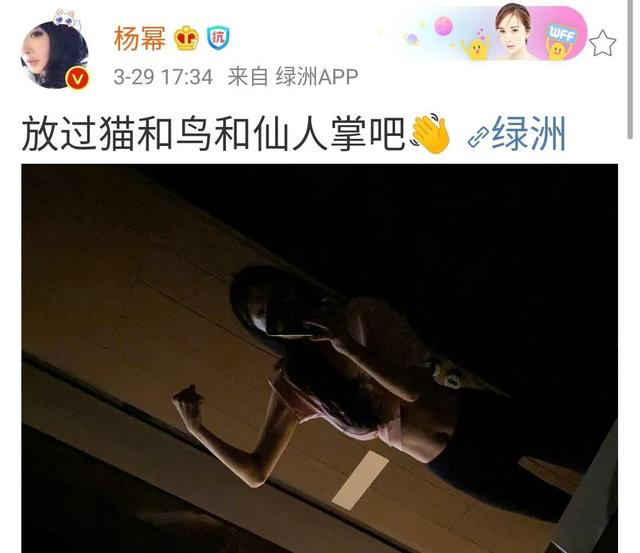身高167cm体重仅90斤的杨幂，翘臀也许是假的，但马甲线可是真的 第13张