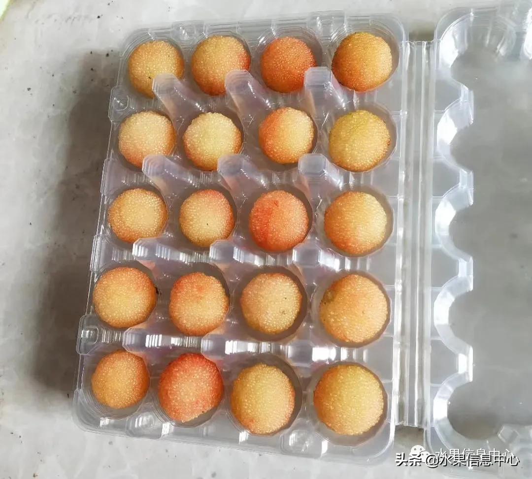 杨梅几月份成熟，我国的杨梅到底哪里最好吃？ 第41张