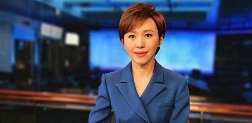 欧阳夏丹今何在？工作17年零失误，离开央视后现状如何 第25张