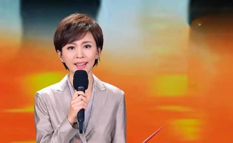 欧阳夏丹今何在？工作17年零失误，离开央视后现状如何 第17张