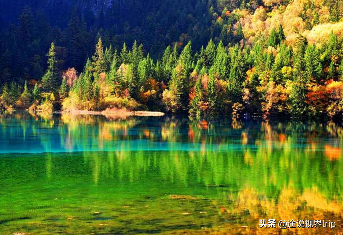 世间最美的九寨沟，无比震撼的人间仙境，来了就不想离开的地方 第7张
