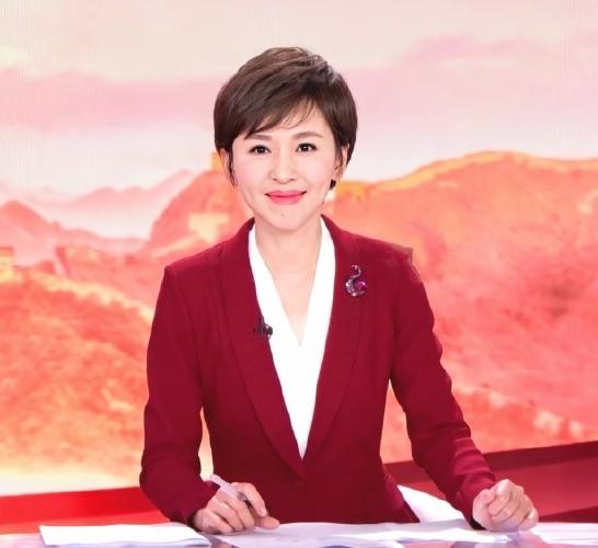 欧阳夏丹今何在？工作17年零失误，离开央视后现状如何 第5张