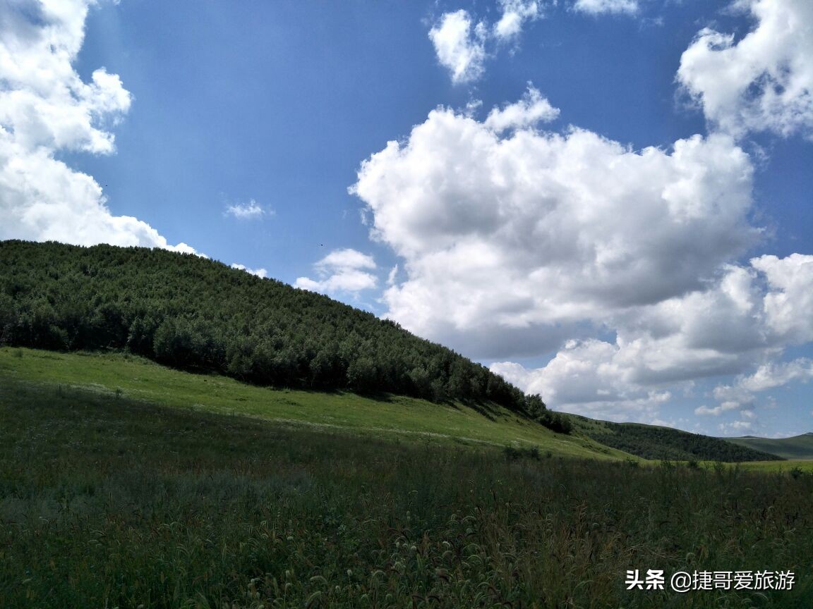 河北省 承德市 丰宁满族自治县 丰宁坝上草原 第9张