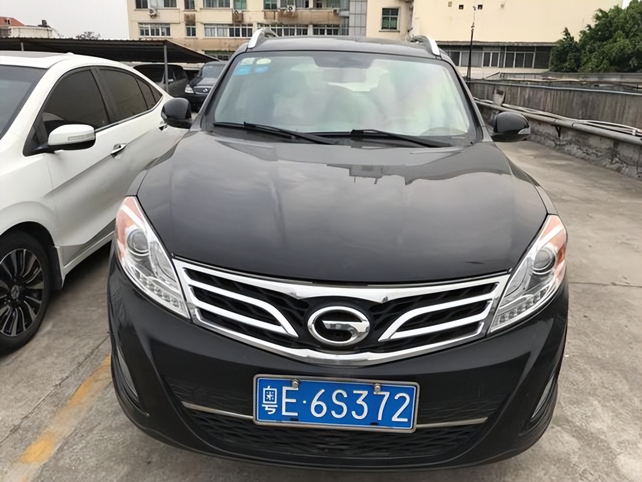 广东省哪个市悬挂粤E的车牌号 第3张