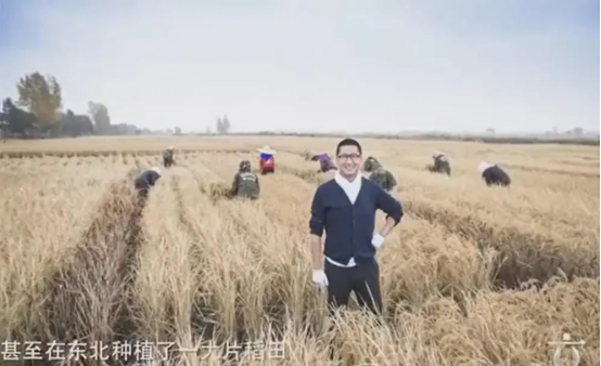 林心如事件是怎么回事？起底周杰林心如“舌吻事件”始末 第45张