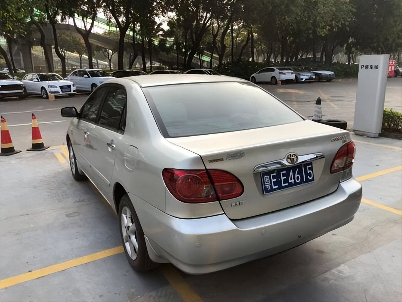 广东省哪个市悬挂粤E的车牌号 第5张