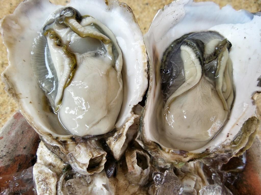 生蚝怎么清洗？教你1招，洗的又白又无腥味 第13张