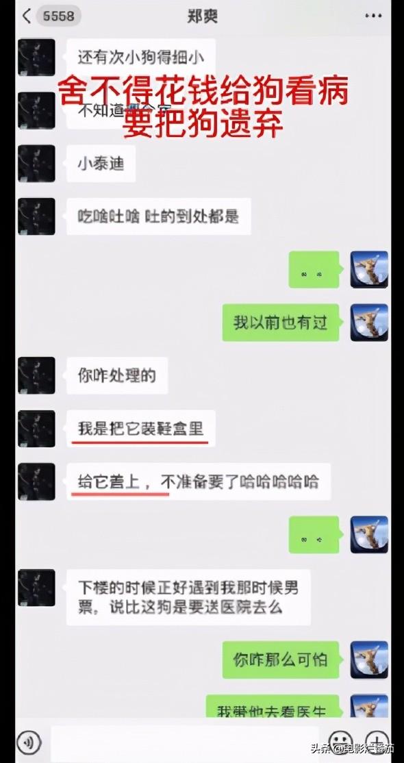 郑爽和张恒事件怎么回事？一步步牵出了娱乐圈的惊天大瓜 第13张