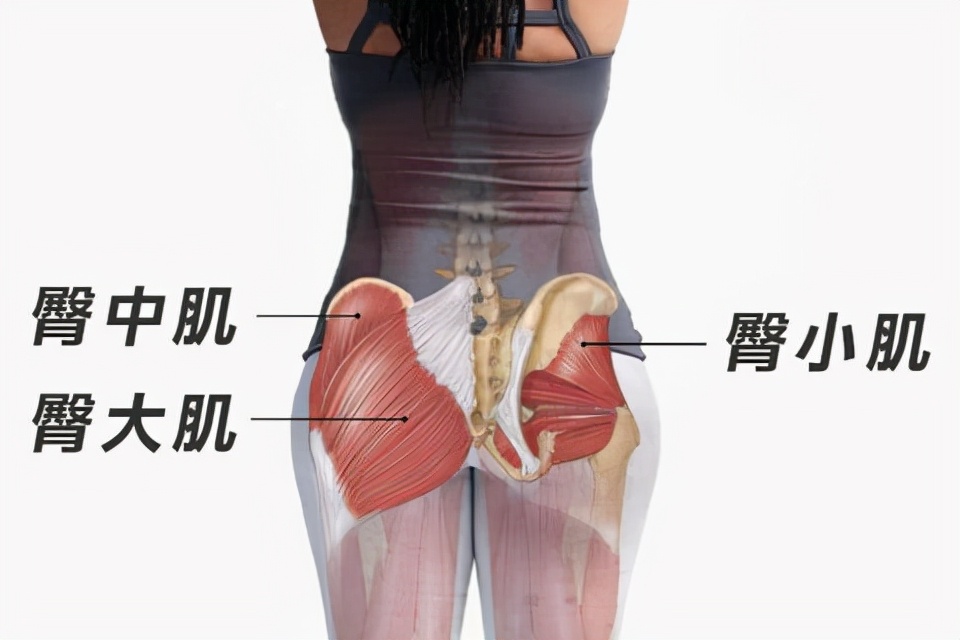 怎么才算是黄金身材的「腰臀比」？女性小于0.85，男性小于0.9 第3张