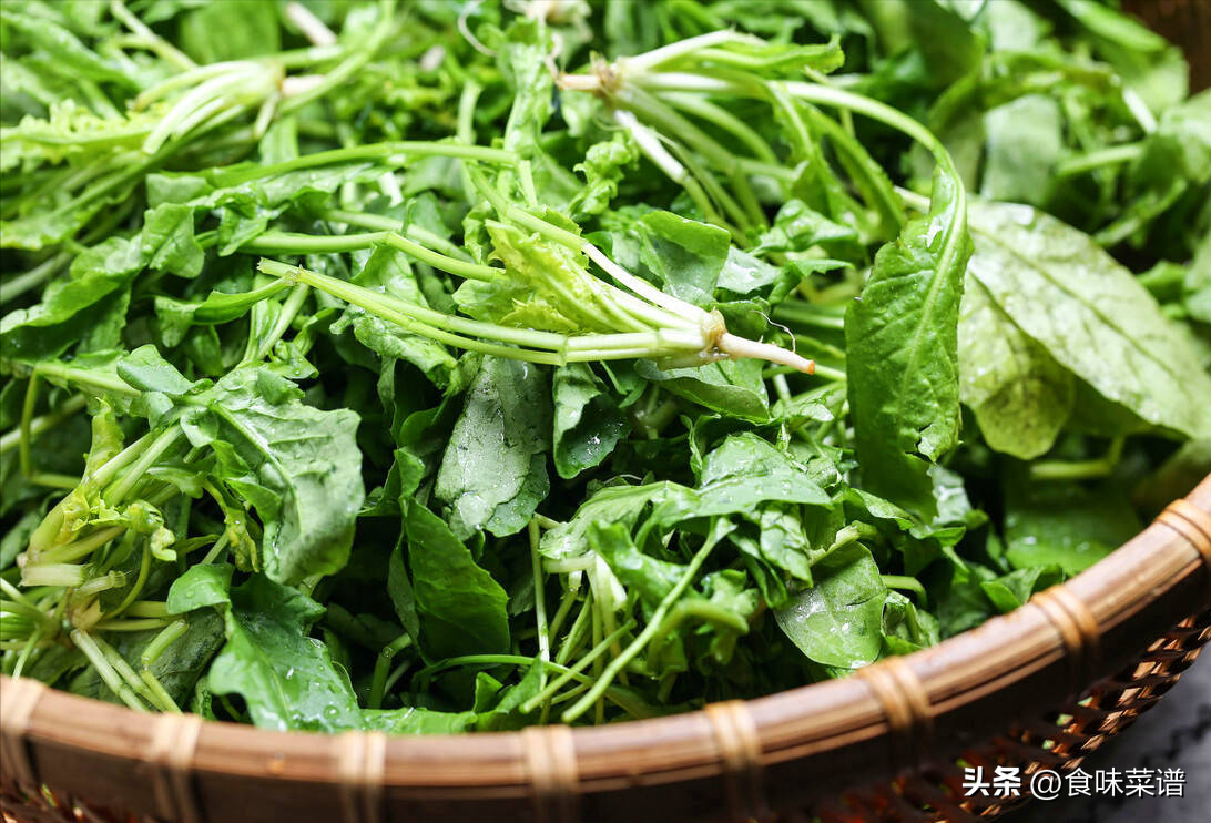 野菜美食推荐（公认最好吃的3种野菜） 第5张
