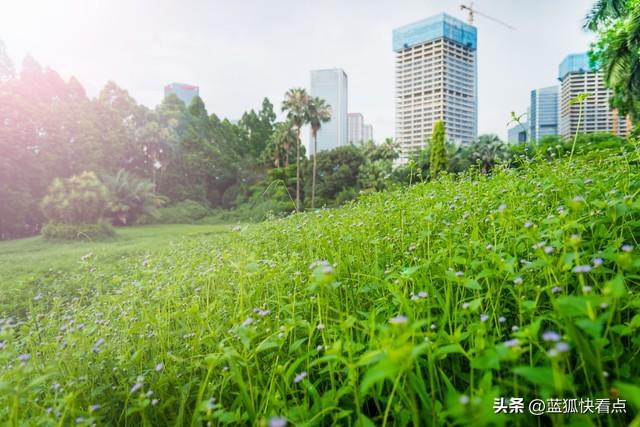 广州公积金贷款2023新政策（广州住房公积金政策调整） 第3张