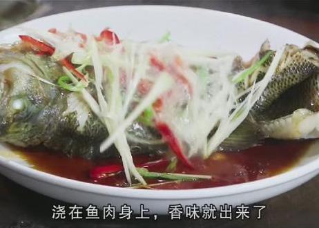 鲈鱼最好吃的做法（鲈鱼简单吃法大全） 第15张