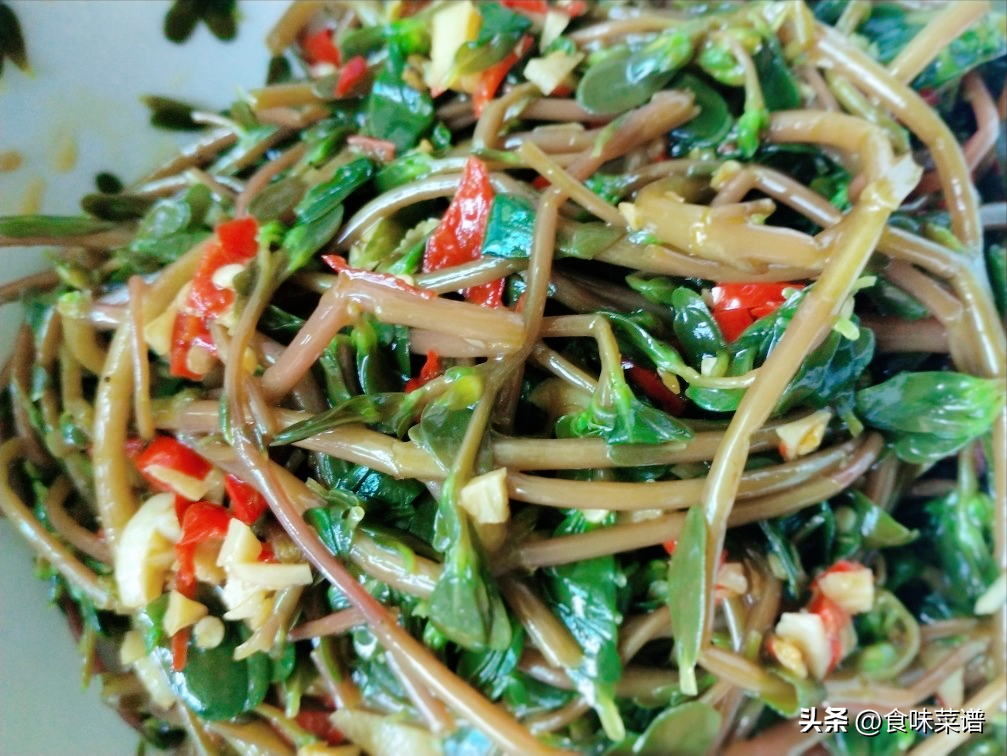 野菜美食推荐（公认最好吃的3种野菜） 第15张