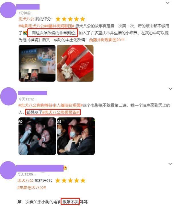 最好看的电影排名前十名（2023超好看的10部电影） 第25张
