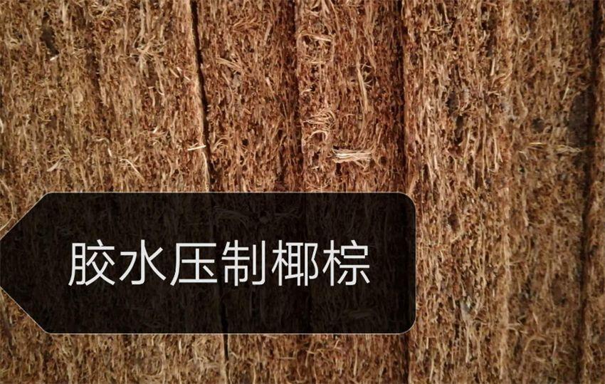 椰棕垫和弹簧床垫哪个好（弹簧床垫和棕榈床垫选择建议） 第3张